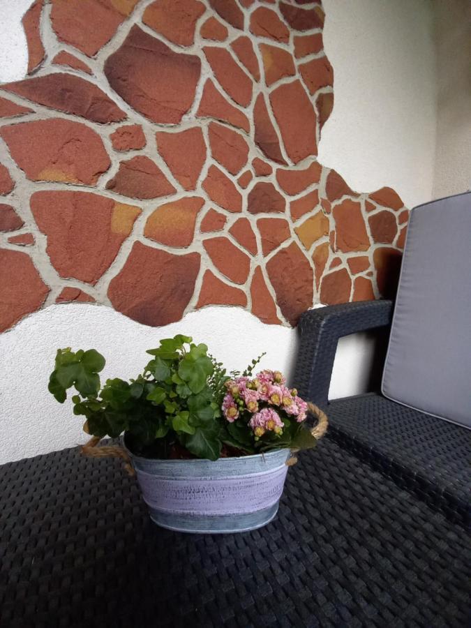 Apartman Erika - Bešeňová Extérieur photo